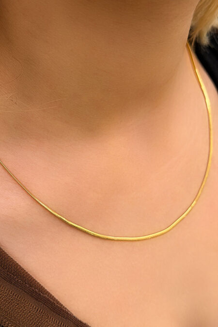 14 Ayar Altın Balık Sırtı Kolye