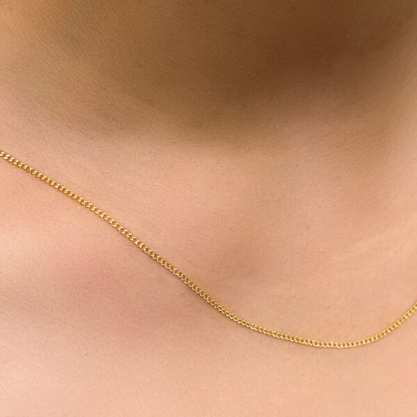 14 Ayar Altın İnce Gurmet Kolye