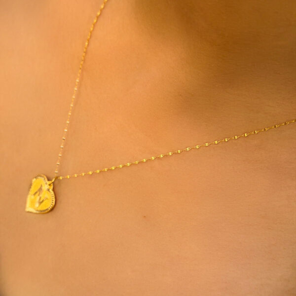 14 Ayar Altın N Harli Kalp Kolye