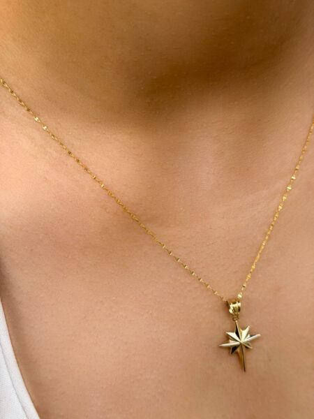 14 Ayar Altın Orta Boy Kuzey Yıldızı Kolye