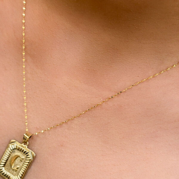 14 Ayar Altın Nostalji C Harfli Kolye