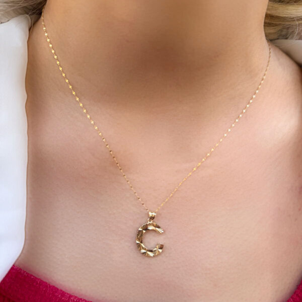 14 Ayar Füzyon C Harfli Kolye