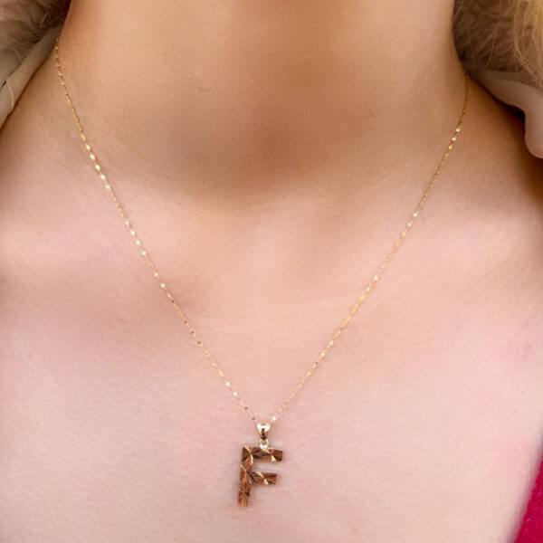 14 Ayar Füzyon F Harfli Kolye