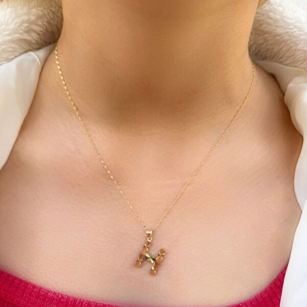 14 Ayar Füzyon H Harfli Kolye