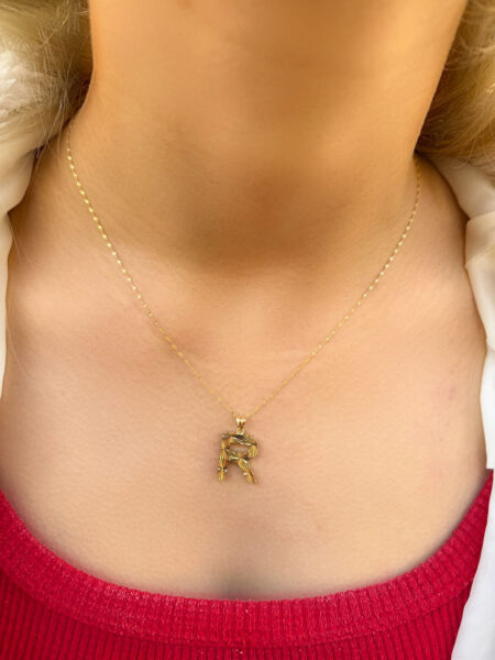 14 Ayar Füzyon R Harfli Kolye