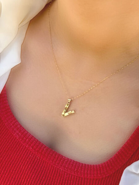 14 Ayar Füzyon V Harfli Kolye